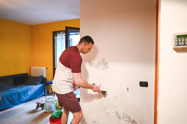 Best Home Mold Removal  in Walters, OK