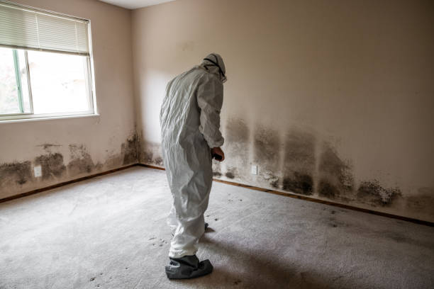 Water Damage Restoration in Walters, OK